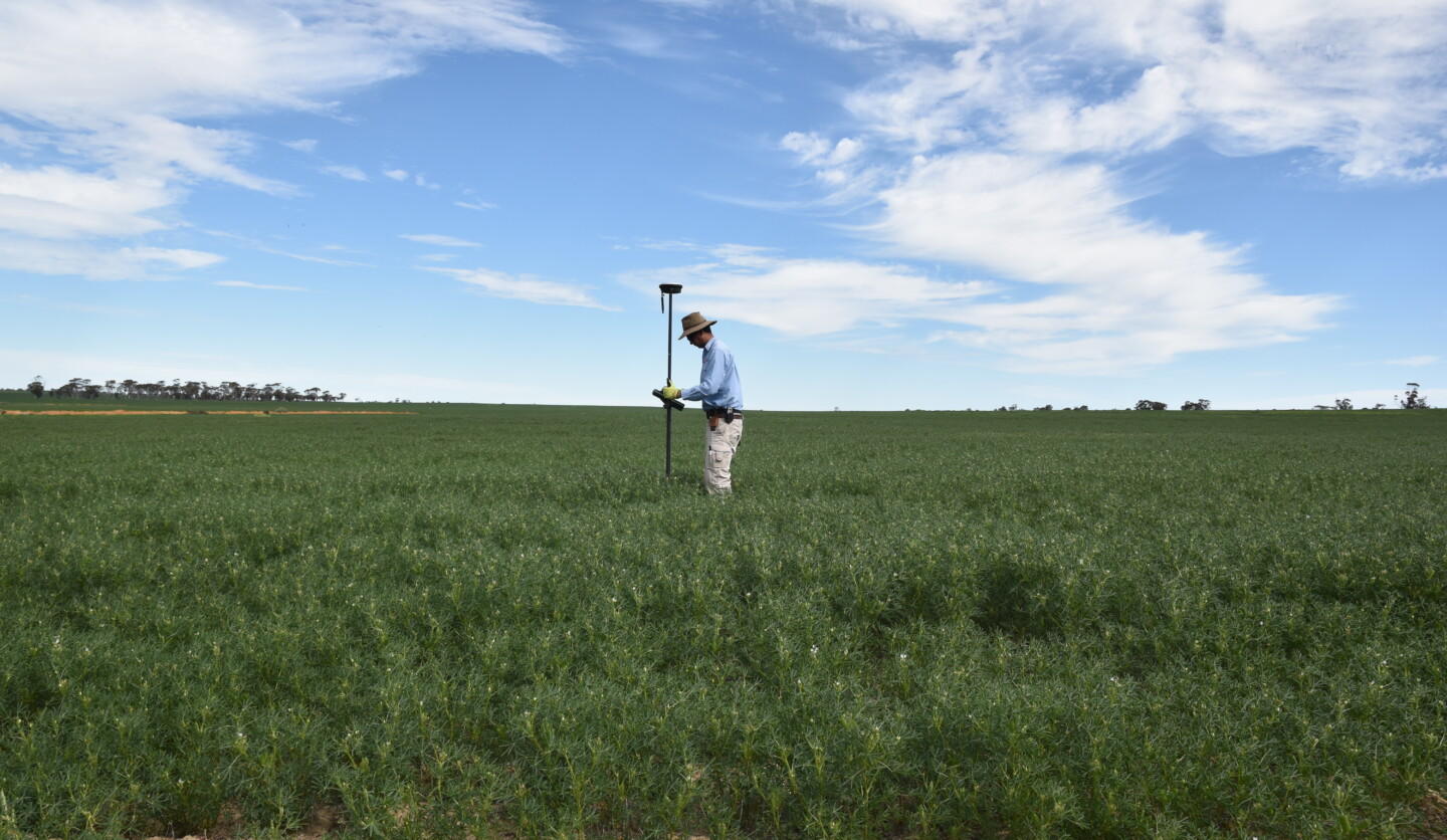 RM Surveying site