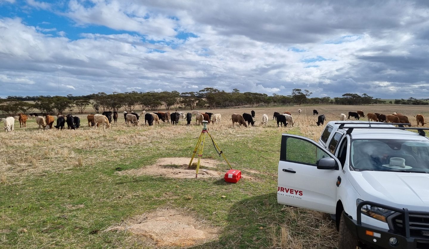RM Surveying site