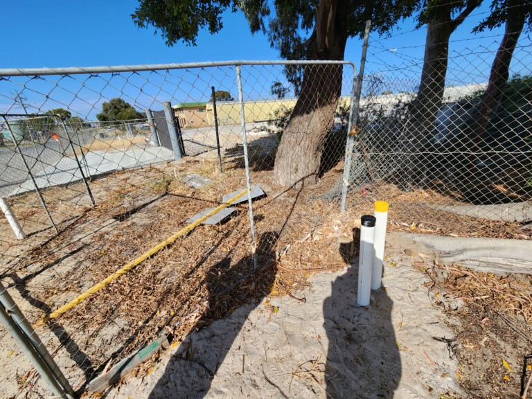 Close-up of a sandy vacant lot enclosed by temporary chain-link fencing, showing two white PVC monitoring well casings (one with a yellow cap, one with a black cap) installed near the base of a large eucalyptus tree trunk. A yellow utility marker line is visible in the ground.