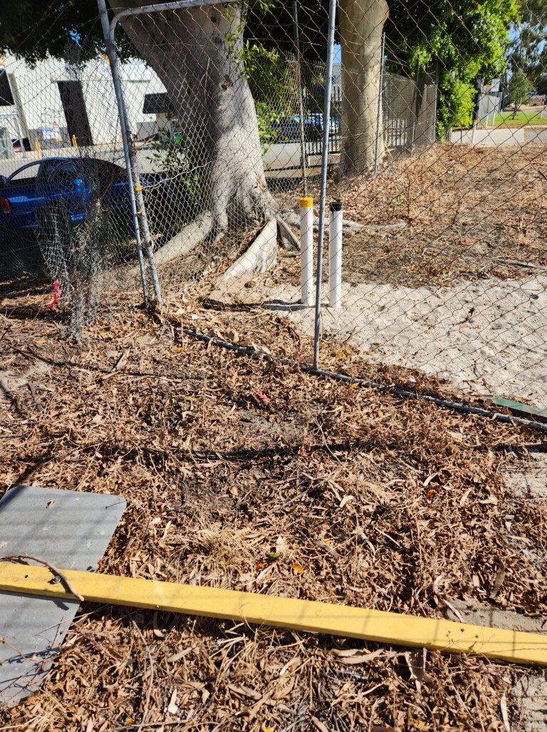Ground-level view of two white PVC groundwater or environmental monitoring well casings (one with a yellow cap) installed in a sandy, leaf-littered area at the base of a large eucalyptus tree, surrounded by temporary chain-link fencing.
